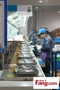 小编逛工厂之欧琳厨电 揭秘高标准技术如何铸就优质产品