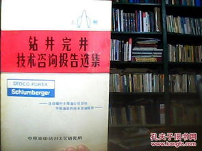 钻井完井技术咨询报告选集 上册 技术咨询