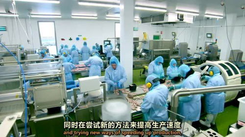 香肠工厂新旧技术过渡 机遇与挑战